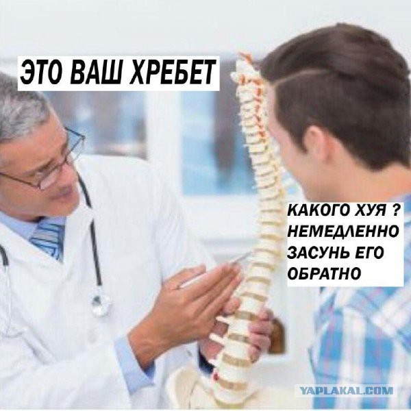 49 забавных картинок