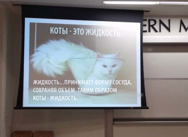 20 преподавателей, которые знают правильный подход к студентам