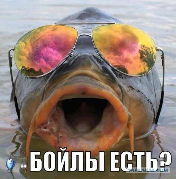 Дневной клев окуня. Якутия.