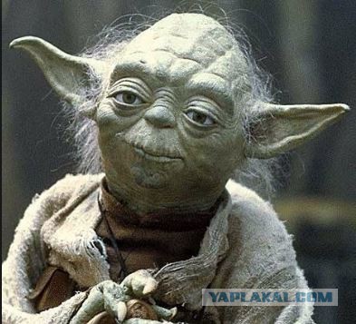 В России 500 человек выстроились в самый большой в Европе QR-код