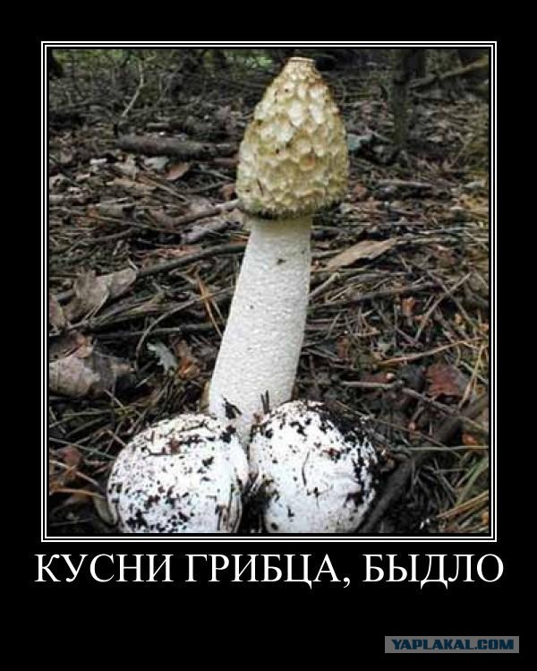 Экспедиция на марс. Уймитесь уже, болезные. Размышления вслух
