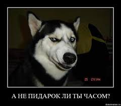 Дорогие мужчины, помните о главном...