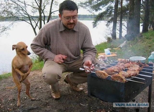 Прикольные картинки абавсём