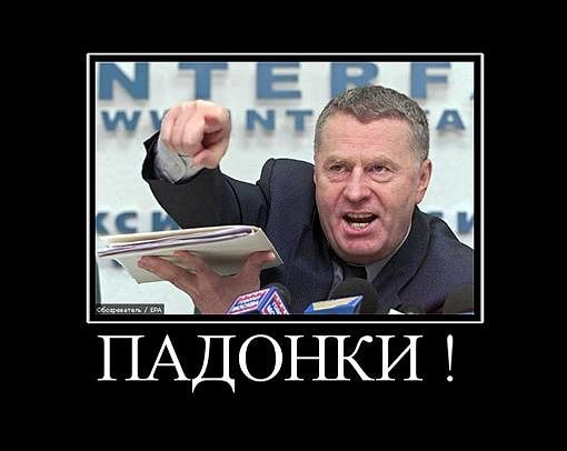 Единоросс потребовал проверить на экстремизм растоптавших его портрет. Депутат обратился в прокуратуру