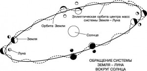13 мифов об эволюции человека