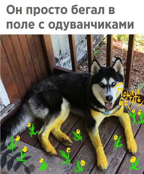 "Так незнать родной язык" или Мы так говорим-4