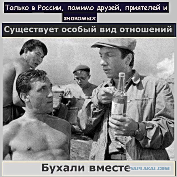Подборка весёлых картинок