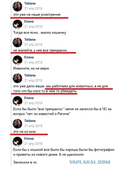 Помогите вернуть кота! Приют "Преданное сердце" украл кота и не отдает!-2