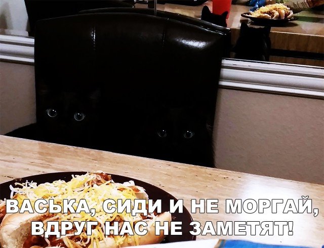 Немного картинок для настроения 29.01.20