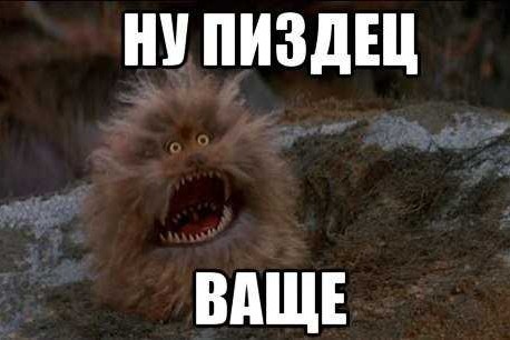 Это вам не инстаграмм (январь)