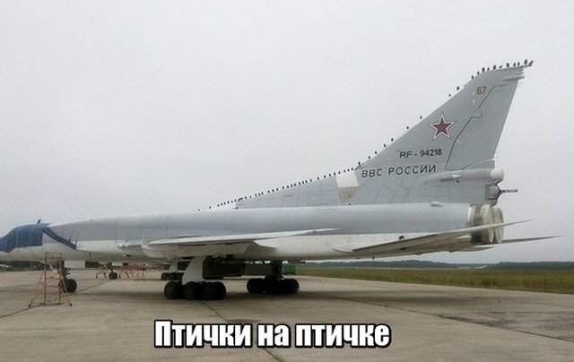 Чуток картинок 15.02.20