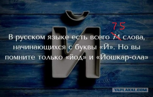 Бредзона 01.03.20