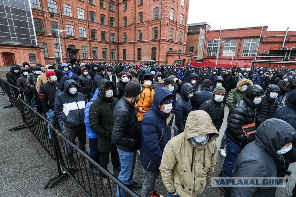 Пандемия. Коронавирус. Россия и мир. Последняя информация. Часть 11