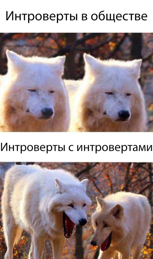 Немного картинок для настроения 18.07.20