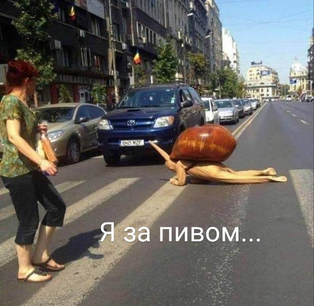 Немного картинок для настроения 04.08.20