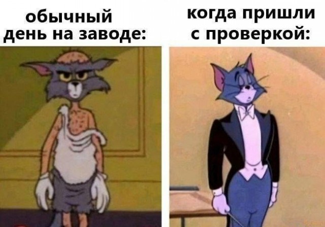 К нам приехал Мишустин