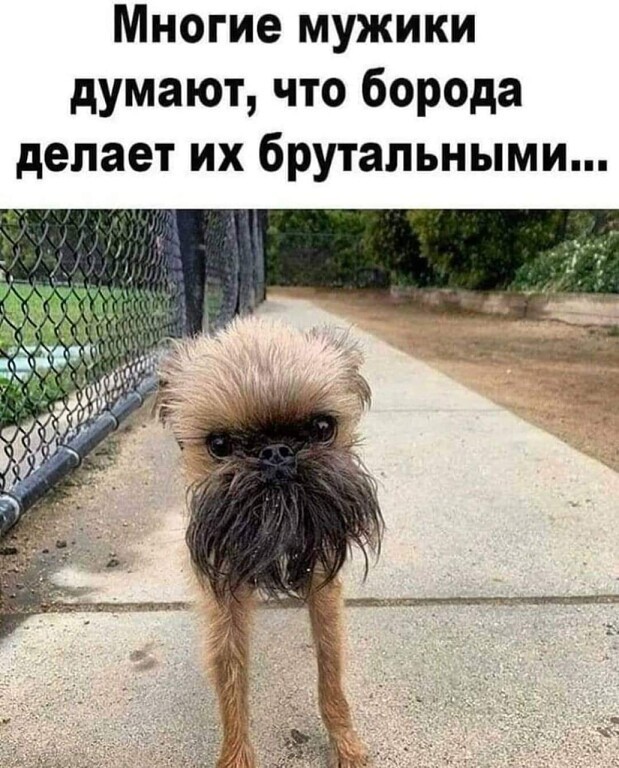 Юмор в картинках 11.10.20