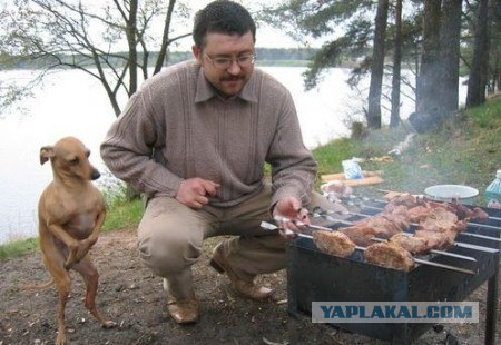 ЯПлакалъ, как вы ругаетесь?