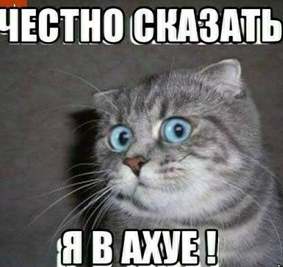 Как я был Аленем
