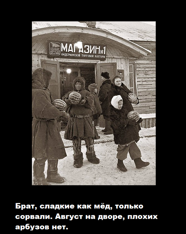 Баяны в чёрных рамках