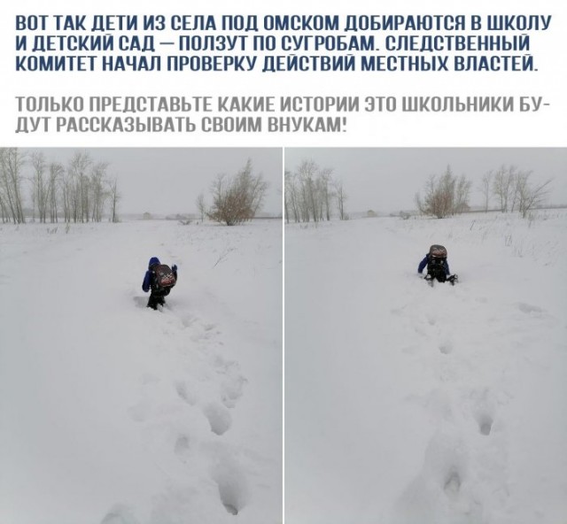 Картинки и мемы для настроения