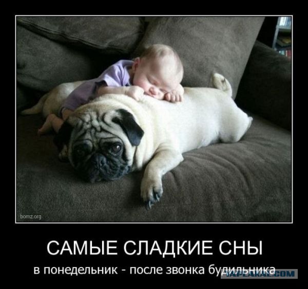 Вас здесь не лежало