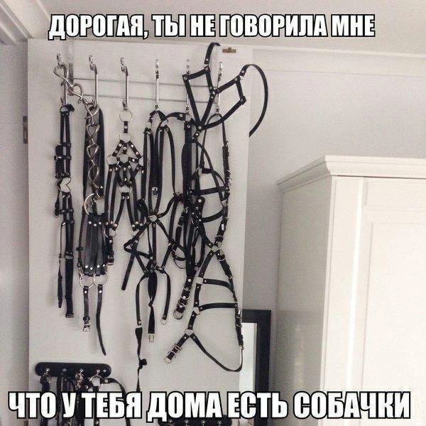Последняя картинка в вашей Галерее/Загрузках