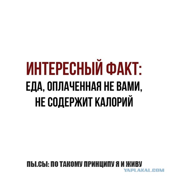 Бредзона 08.08.21