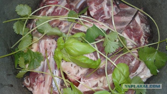 Долма с двуми начинками.