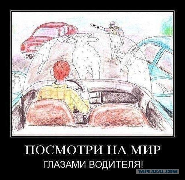 ТруЪ демотиваторы