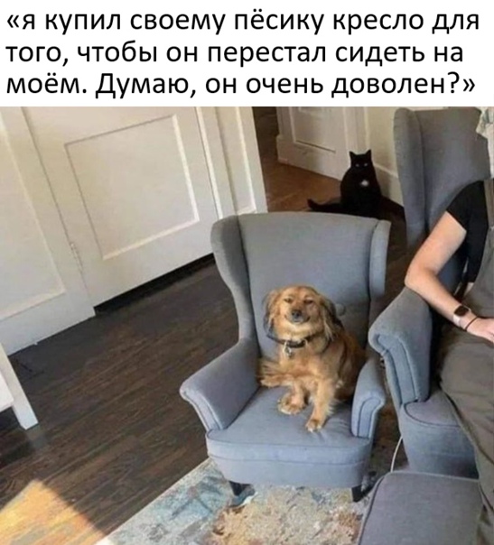 Картинки и мемы, всем прекрасных выходных