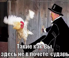 Свастика в Йонкербосе. Украинцы осквернили могилы павших британцев