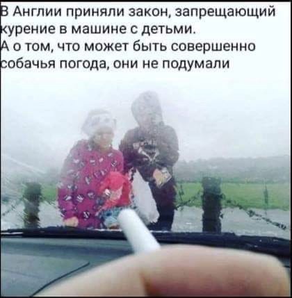 Так себе картинки 14.05.22
