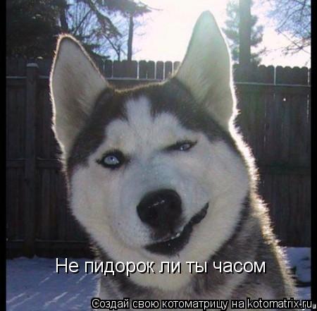 Пандемия съехавших крыш. Разновидности болезни. Россия и мир. Часть 36