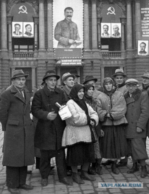 Пандемия съехавших крыш - разновидности болезни. Россия и мир. Часть 38