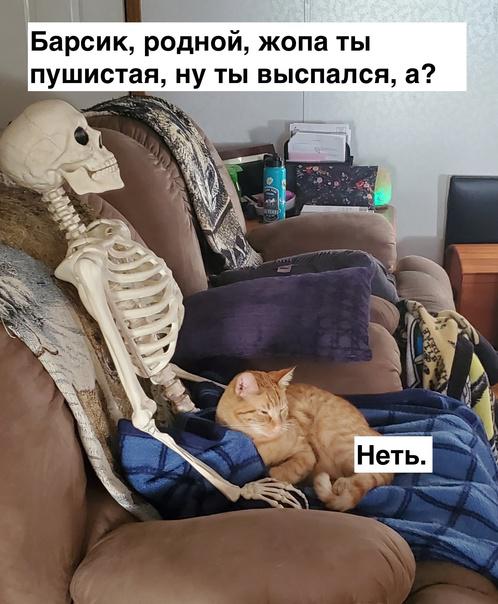 Народная меДИЧина 11.08