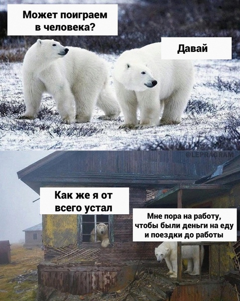 Деградация лайт 13.10.2022