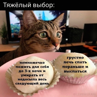 Картинки и мемы. Выходные близко...