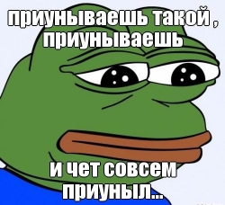 Какой-то неправильный кот