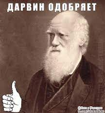 Очередной любитель высоковольток