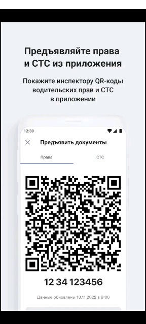 "Не ломайте машину, пожалуйста! Вы должны нас защищать! Вы же органы! Мужчины, в конце концов"