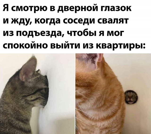 Немного картинок для настроения - 177