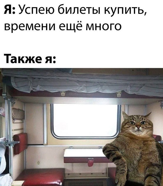 Подборка картинок 08.05.23