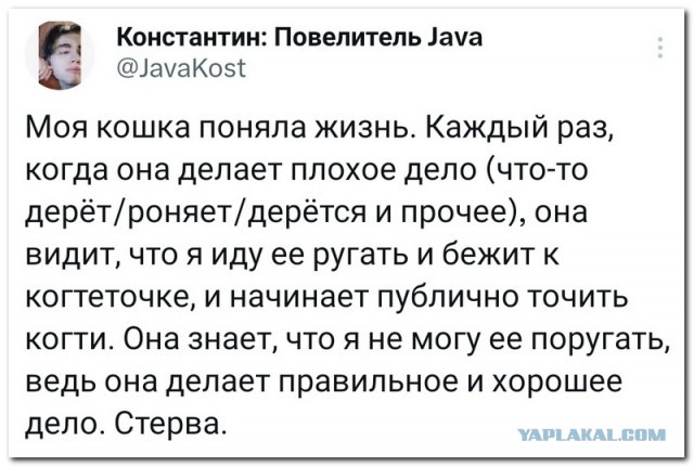Забавные комментарии из социальных сетей (07.08.23)