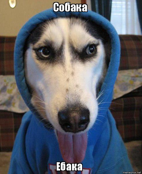 Панина арестовали в столице Эстонии