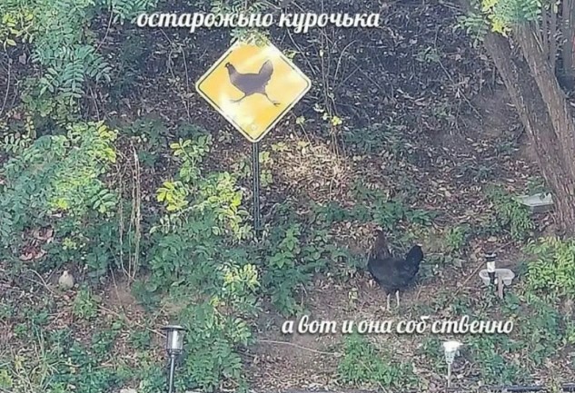 Так себе картинки 15.09.23