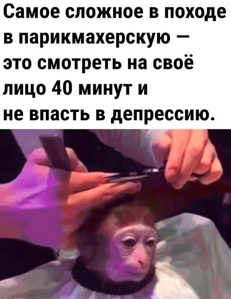 Баяны разной степени давности.