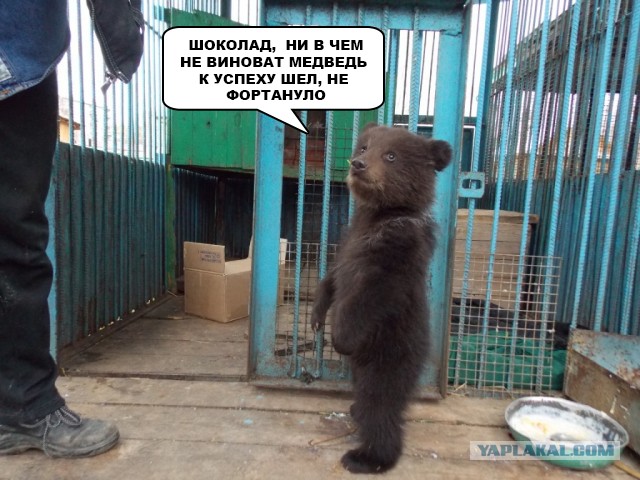 По прозвищу Тихон