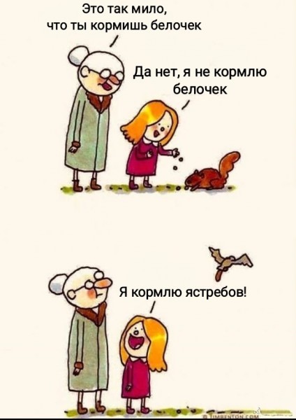 Немного забавных видео и картинок