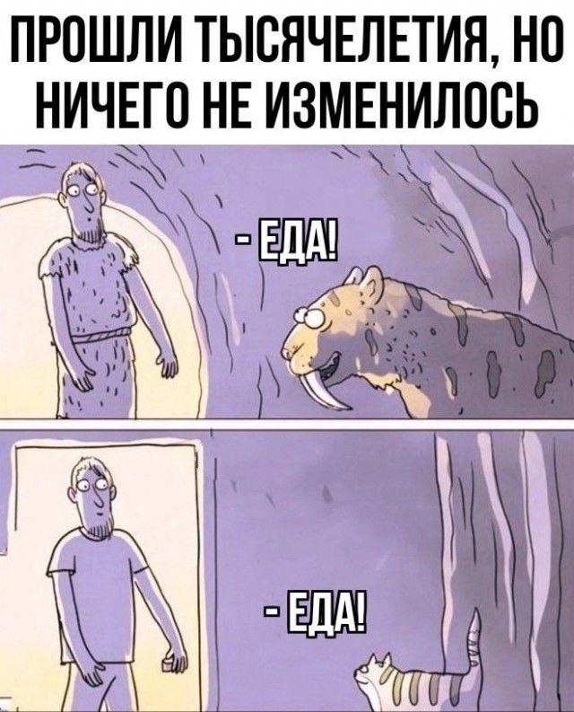 Немного забавных картинок от 01.09.2024